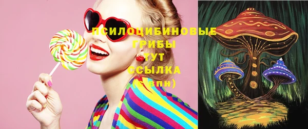 герыч Иннополис