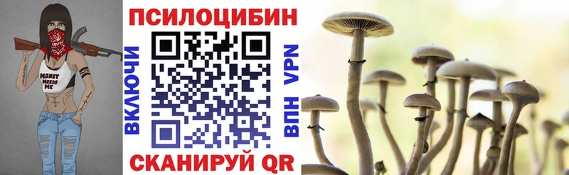 Галлюциногенные грибы Magic Shrooms  Камбарка 